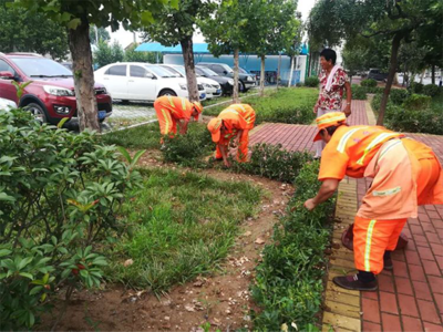 曹范街道 专业保洁深入推进城镇提升，助力幸福宜居家园建设